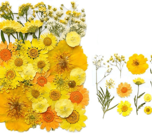 Yellow Flower Sheet