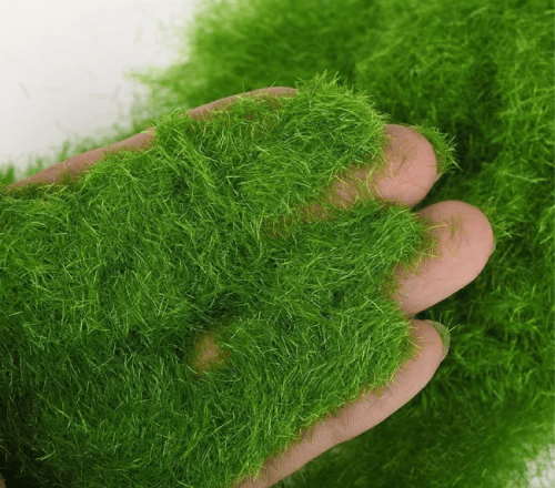 grass moss
